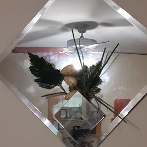 Meet your Posher, Alanah